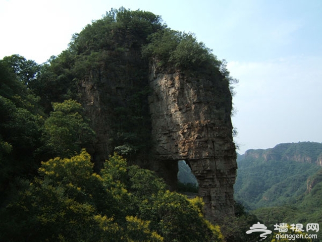 带着宠物去旅行 平谷乐和仙谷去撒欢