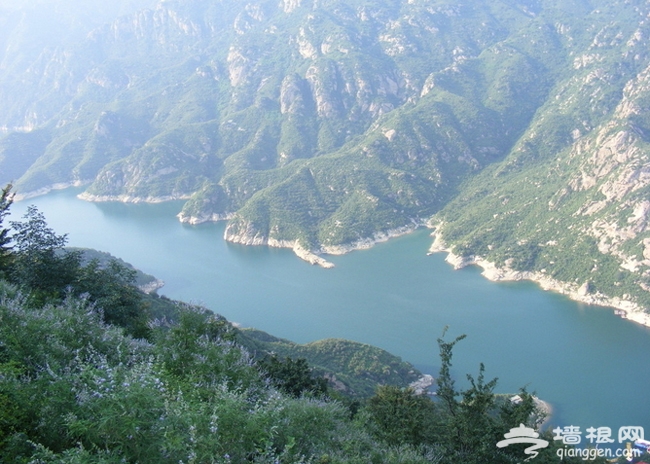 带着宠物去旅行 怀柔龙湖居享唯美时光