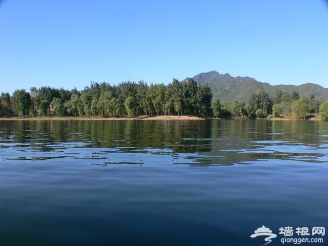带着宠物去旅行 怀柔龙湖居享唯美时光