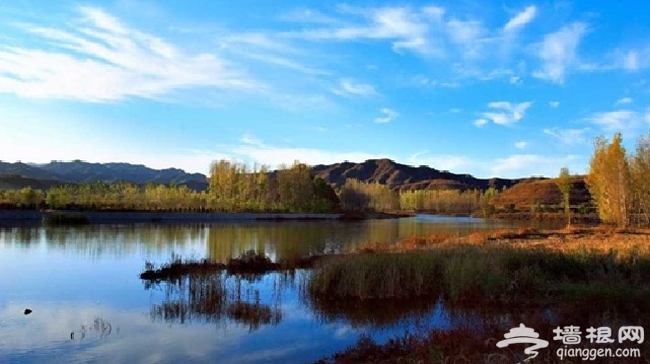 带着宠物去旅游 北京可以带狗狗玩的地方大集合！