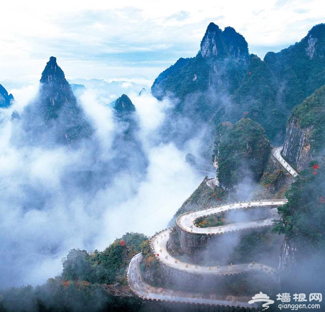 带着宠物去旅游 北京可以带狗狗玩的地方大集合！