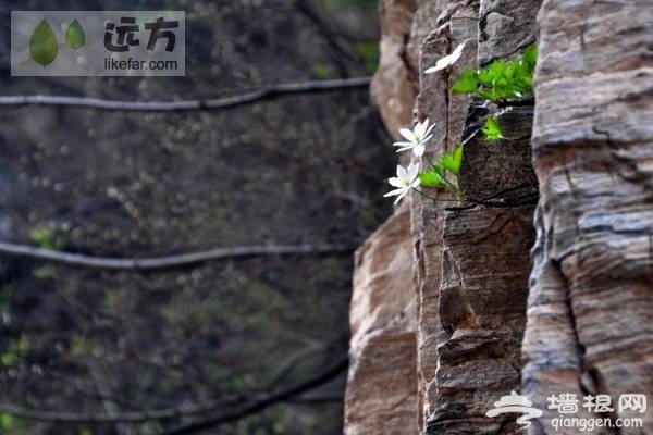 北京穿越路线:房山圣水峪—涞沥水穿越自助游攻略