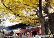 北京端午节祈福好去处 周边古寺进香游玩指南