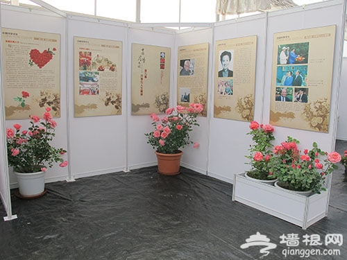 2014北京纳波湾月季文化节时间看点及交通[墙根网]