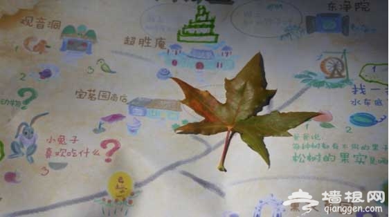 一家齐上阵 亲子童趣赛龙舟&mdash;森林里的儿童端午节