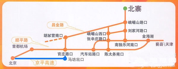 北寨红杏熟透枝头 周末采摘好地方