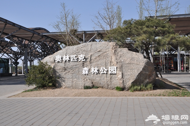 2014夏日清凉去哪玩 北京奥林匹克森林公园