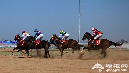 2014蒙古那达慕大会7月11日开幕[墙根网]