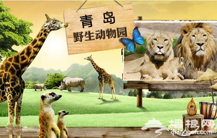 2014青岛端午节有什么活动 青岛六一儿童节游玩攻略[墙根网]