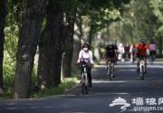 端午去延庆 非遗大观园骑行看民俗