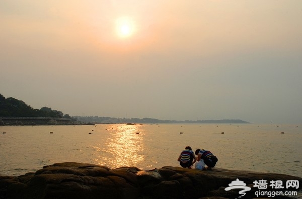暑假一起盛夏听涛 尽享海滨夏日风情