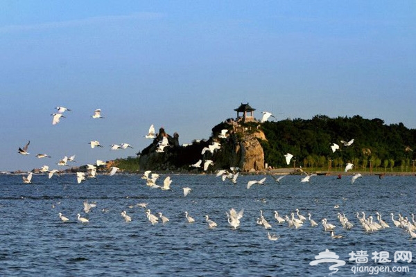 暑假一起盛夏听涛 尽享海滨夏日风情