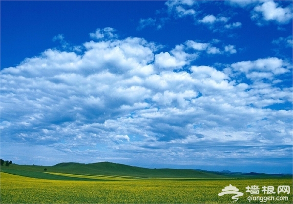 爸爸去哪儿第二季拍摄地：呼伦贝尔大草原旅游攻略指南[墙根网]