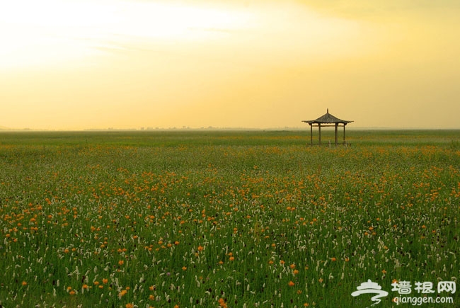 离北京最近的优美草原超实用周末度假攻略 炎炎夏热 奔向广阔草原 