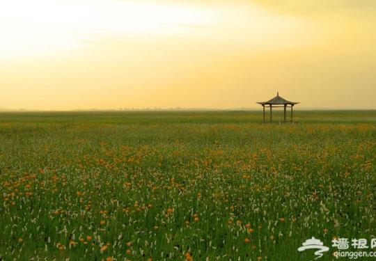 离北京最近的优美草原超实用周末度假攻略