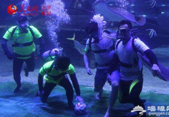首届“海底足球赛”在天津海昌极地海洋世界举行