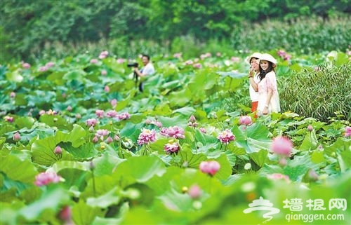 2014重庆将举办首届乡村旅游文化节7月20日开幕