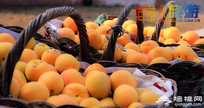 2014京郊夏日避暑自驾游 周末自驾密云北庄