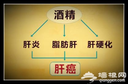 图为网传的“酒精与肝癌关系图”。