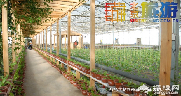 蔡家洼观光工业园区——在京郊DIY美食盛宴
