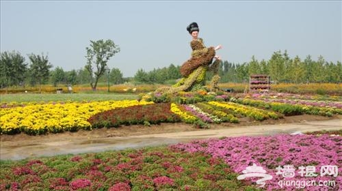 2014北京国际鲜花港菊花展9月19日开幕