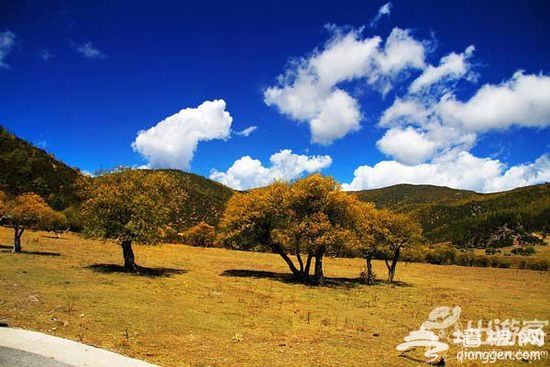 九月份适合去哪里旅游？九月最美的地方