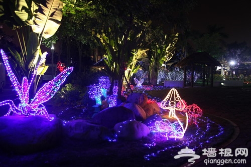 厦门园博苑灯光旅游节下月迎客