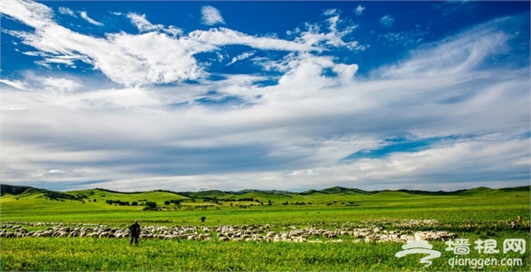 乌兰布统草原景点图片