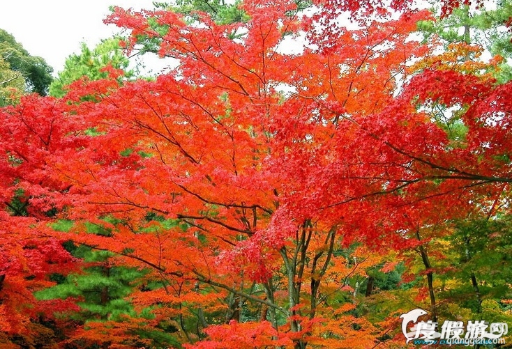 10月份去哪旅游好 第1张 10月份去哪旅游好 第1张