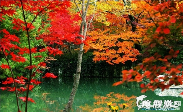 10月份去哪旅游好 第6张 10月份去哪旅游好 第6张