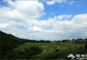 2014野三坡“红叶节”9月10日－10月10日举行