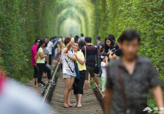 南京“爱情隧道”成景点 游客涌入铁路线