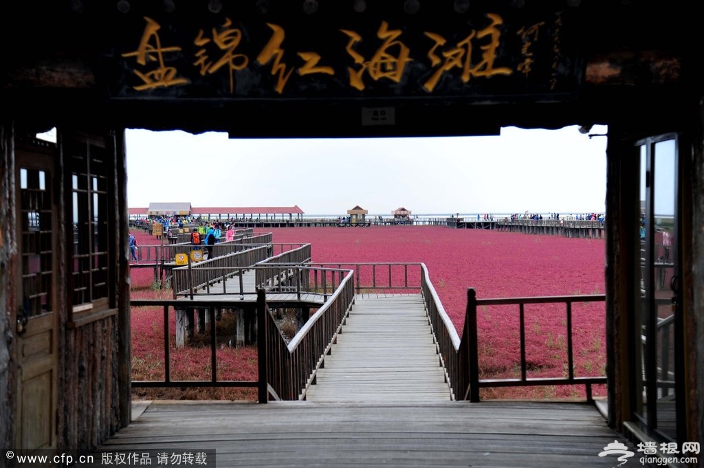 红海滩风景区坐落在大洼县赵圈河乡100平方公里的苇田湿地内。是一处自然环境与人文景观完美结合的纯绿色生态旅游系统。现已投入资金1500余万元，完成了初期开发项目，包括游客接待中心及红海滩码头。