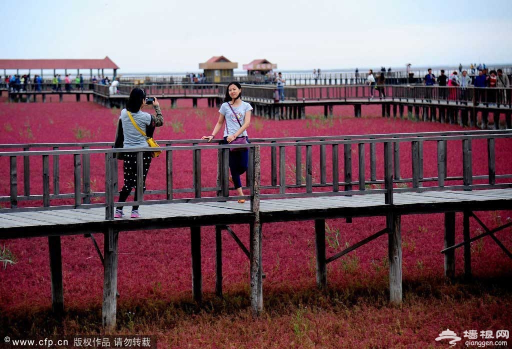 红海滩码头坐落在辽河三角洲的入海口处，距游客接待中心18千米，是一处在泥滩上建起的木结构、木桩基础、承台式仿古建筑群及纯木制旅游景点。该码头的“九曲廊桥”全长680米，由519根木桩支撑，自岸边逶迤而行，直探进海中。