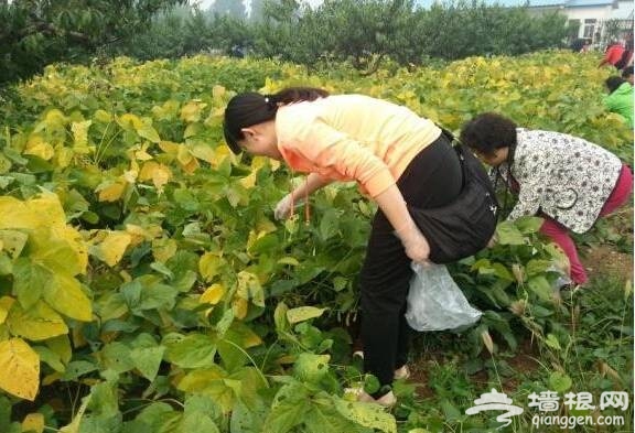 点击查看下一页