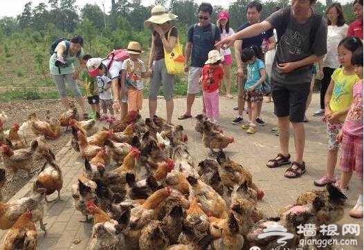 点击查看下一页