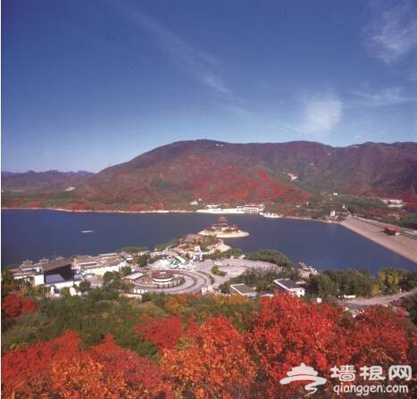 点击查看下一页