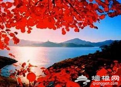 爱在初秋 北京18大红叶观赏地[墙根网]