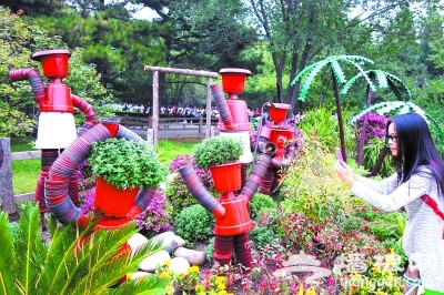 2014第六届北京植物园菊花文化节周四开幕