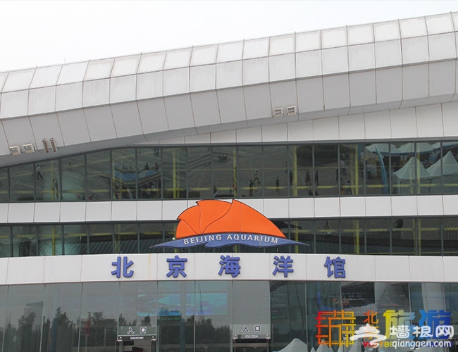 十一国庆节亲子游 带孩子去北京海洋馆