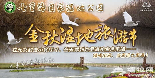 七里海国家湿地公园金秋湿地旅游节近日举办