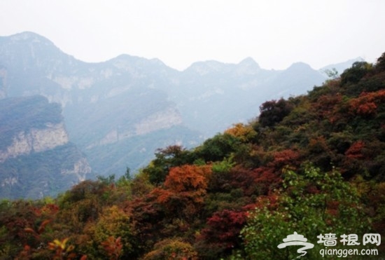 北京周口店&middot;深秋绚烂无比