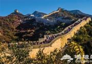 香山索道沿线红叶率已达40%