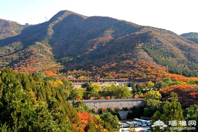 蟒山赏红叶最全攻略