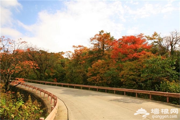 10月天津蓟县红叶最佳观赏地出炉[墙根网]