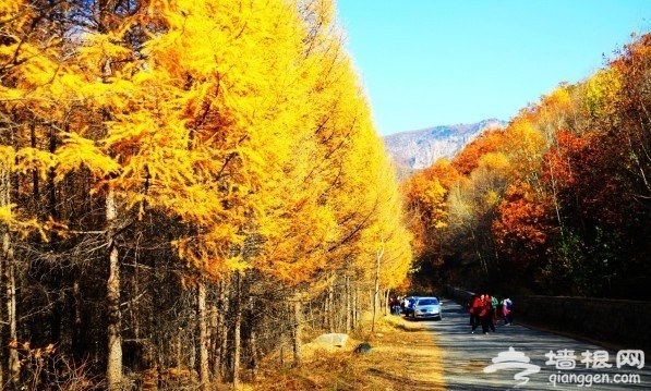 走进秋天的童话 京郊赏秋好去处