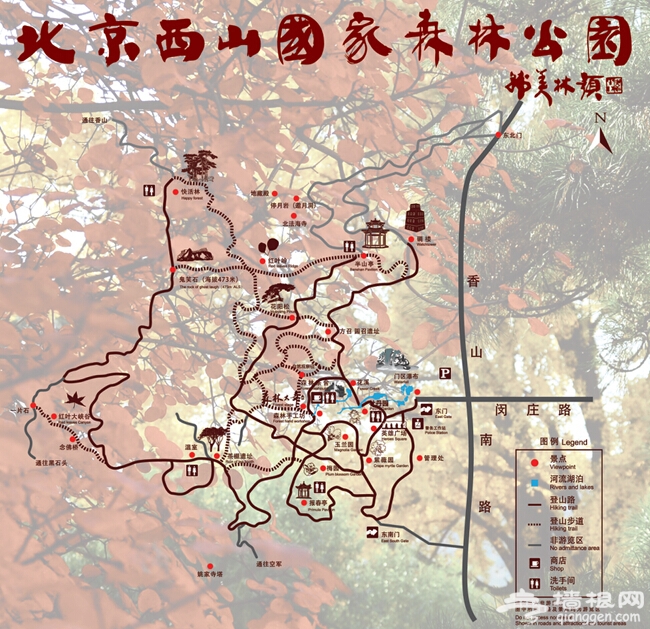 2014北京赏红叶去哪好西山国家森林公园红叶节