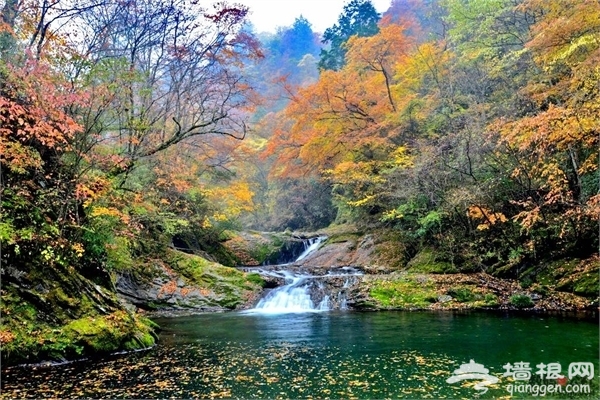 赏花赏叶赏秋香 西安周边秋季旅游地及拍摄技巧[墙根网]