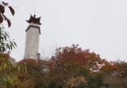 河北省太行山一线赏秋观红叶进入最佳观赏期