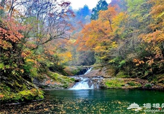 赏花赏叶赏秋香 西安周边秋季旅游地及拍摄技巧